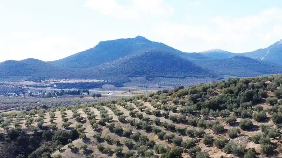 Imagen de un municipio de los Montes Orientales 8